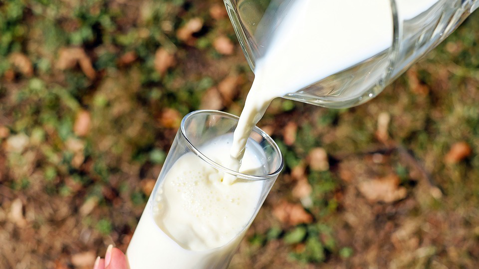 Россельхознадзор просит российских производителей проверять молоко из Белоруссии