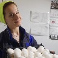 Грибное царство: как многодетная мама из Ульяновска научилась на шампиньонах зарабатывать