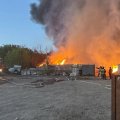 В Ульяновске едва не сгорели заживо 30 собак