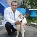 «Добрый доктор Айболит»