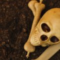 Яд в землю, деньги в карман: в Ульяновске осудили браконьеров от экологии