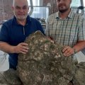 Новые находки юрского периода обнаружены в Ульяновской области