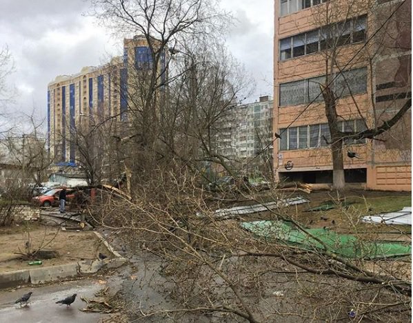 Ураган в подмосковье сейчас