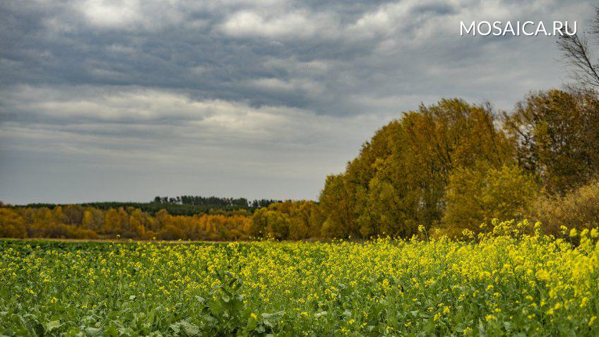 Александр Кременицкий