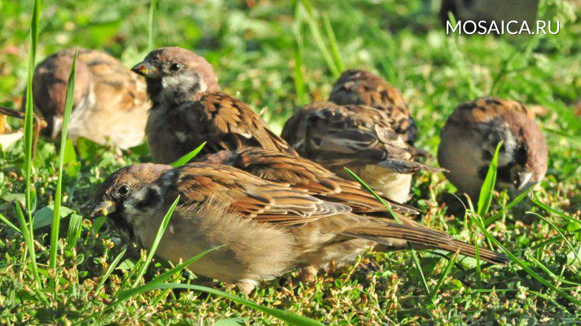 Алексей Юхтанов