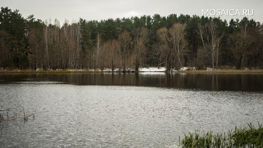 Александр Кременицкий