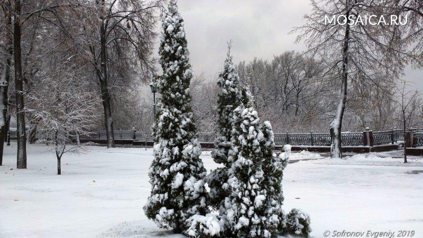Евгений Софронов