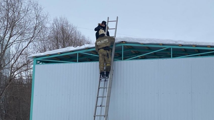 ГУ МЧС РФ по Ульяновской области