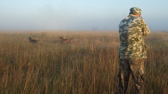 Министерство сельского хозяйства и продовольствия Московской области