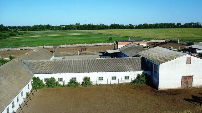 Министерство агропромышленного комплекса и развития сельских территорий Ульяновской области