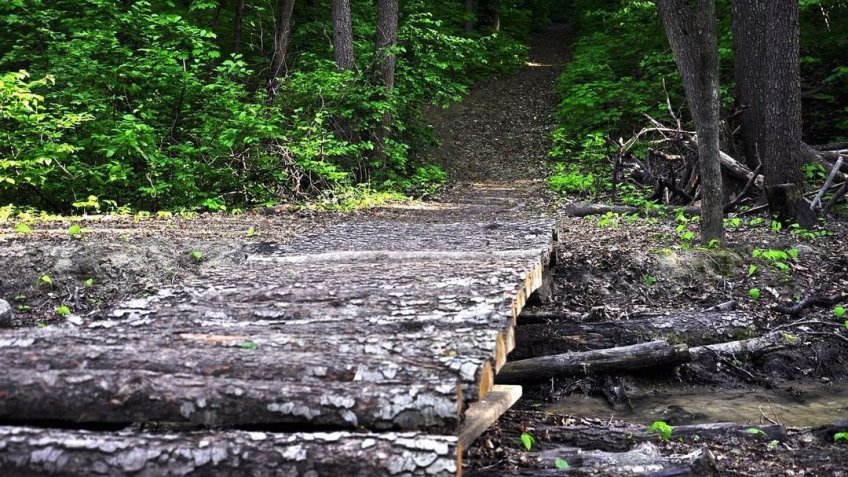 Алексей Русских