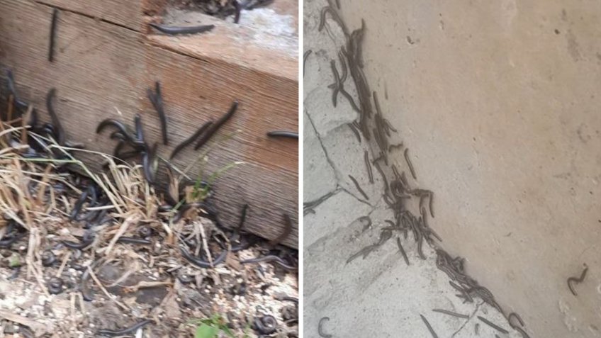 Инсайд Ульяновск