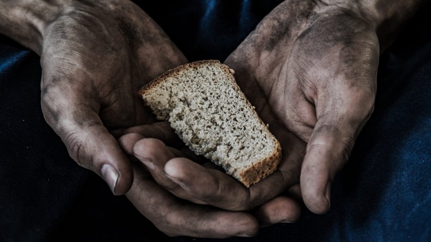 Мировой голод может начаться уже с 2023 года | Главные новости Ульяновска