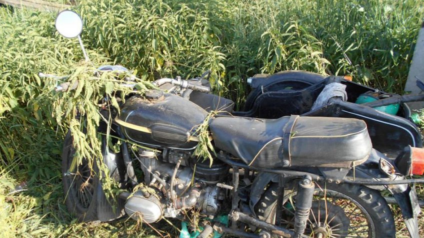 penza.bezformata.com