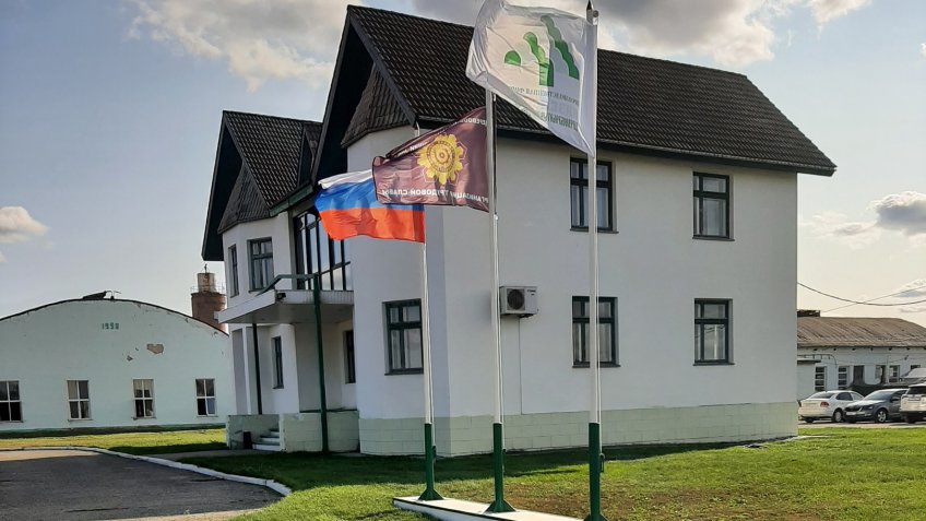 vk.com/public211800346