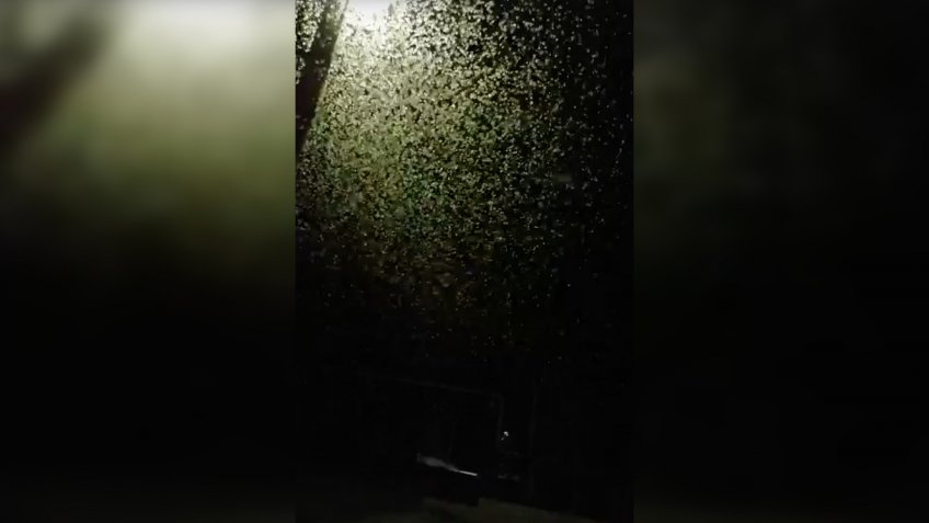 ЧП Ульяновск