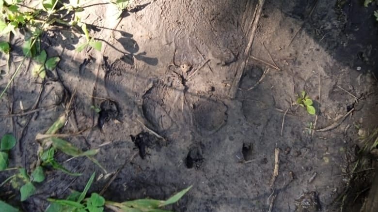 Минприроды Ульяновской области