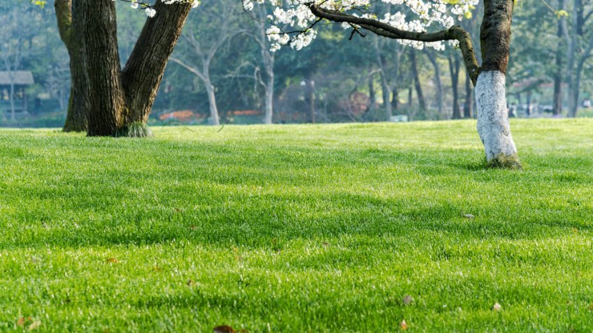 freepik.com/ ilovehz