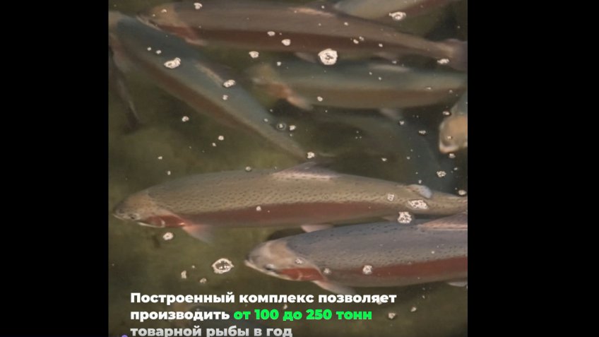 Минсельхоз73