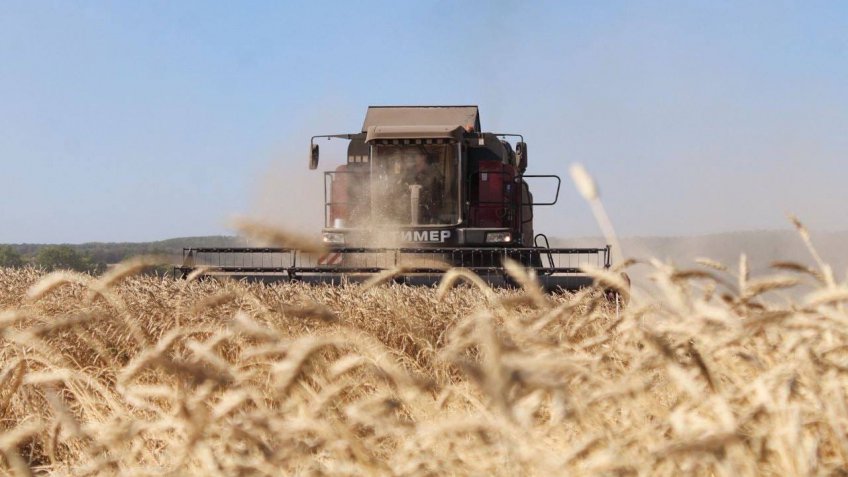 Михаил Семёнкин