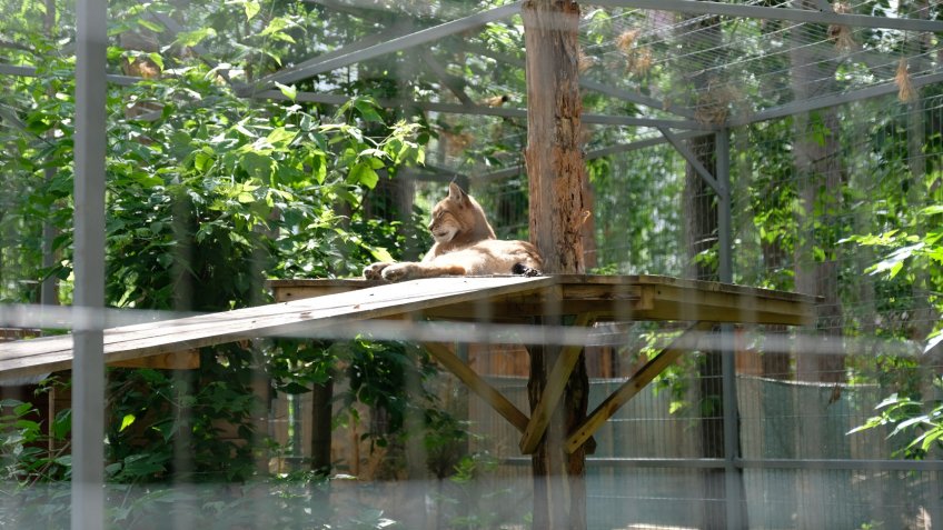 Телеграм-канал Александра Болдакина