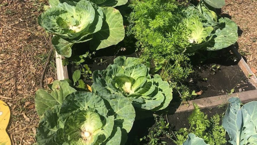 администрация Ульяновска