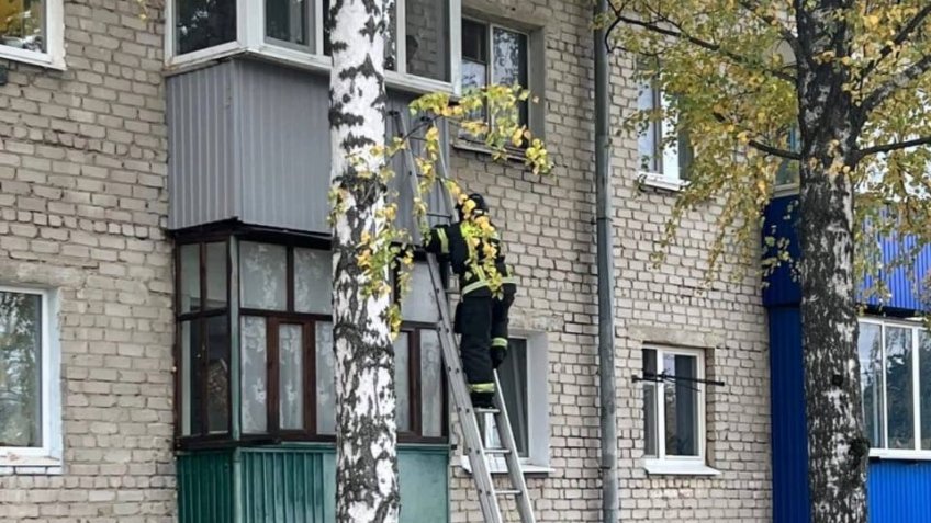 ГУ МЧС России по Ульяновской области