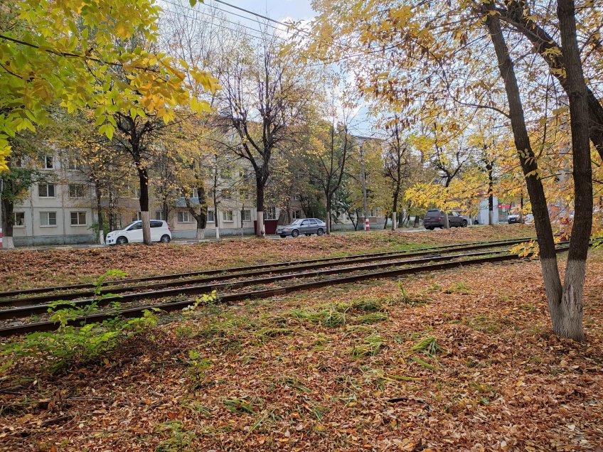 mosaica.ru, тематическое