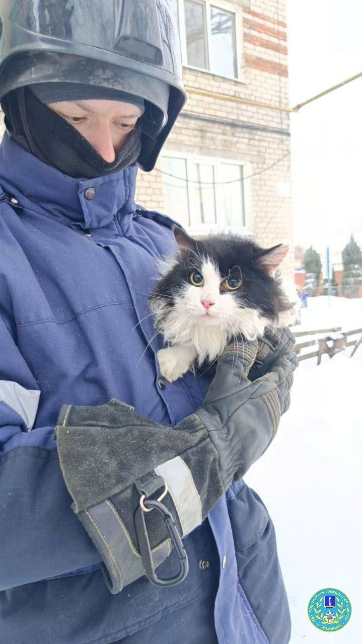 Управление гражданской защиты г. Ульяновска