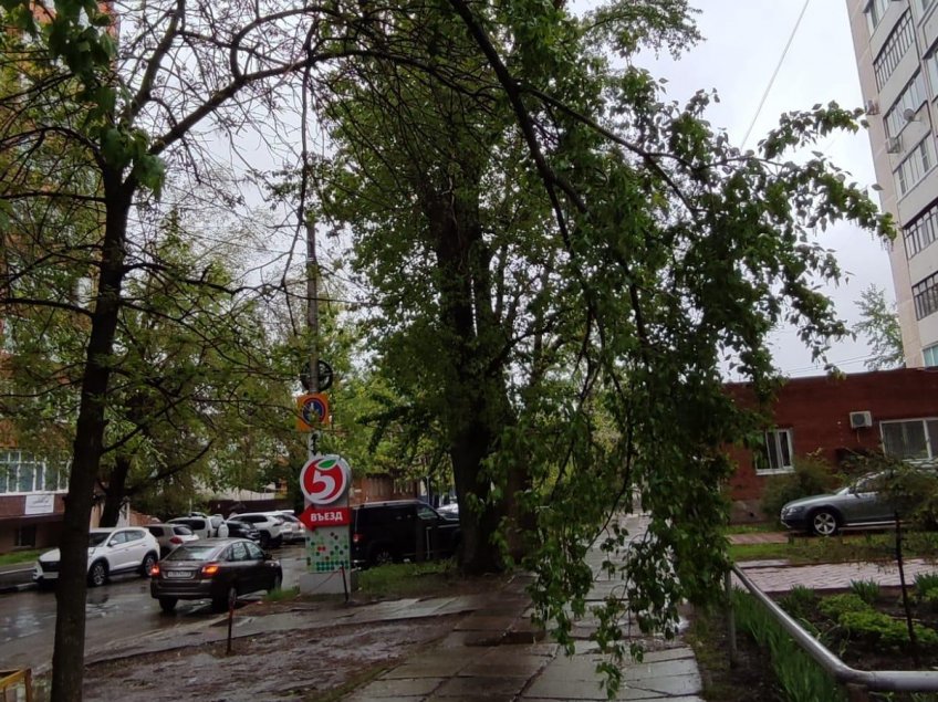 Городской центр по благоустройству и озеленению