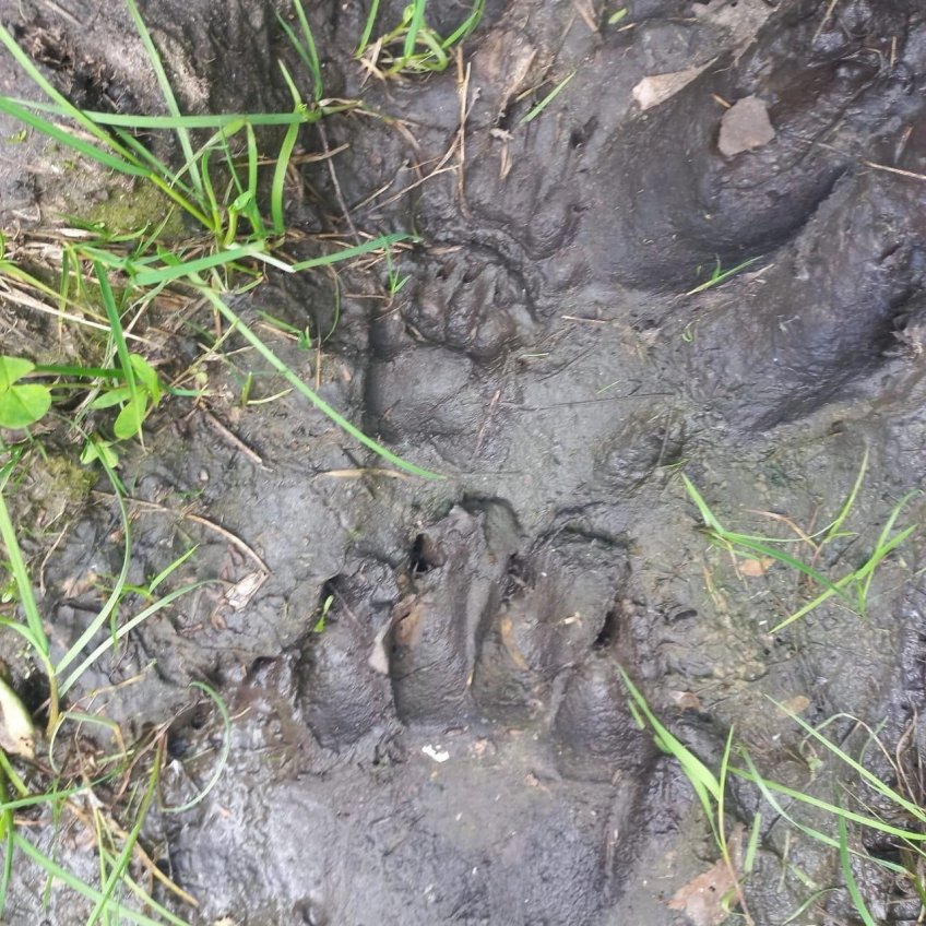 Минприроды УО 