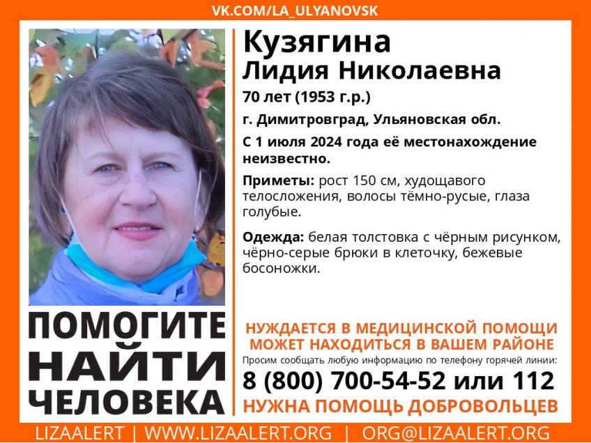 Поисково-спасательный отряд «Лиза Алерт»