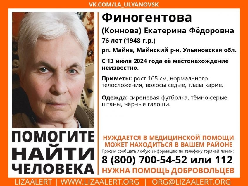 Поисково-спасательный отряд «Лиза Алерт»