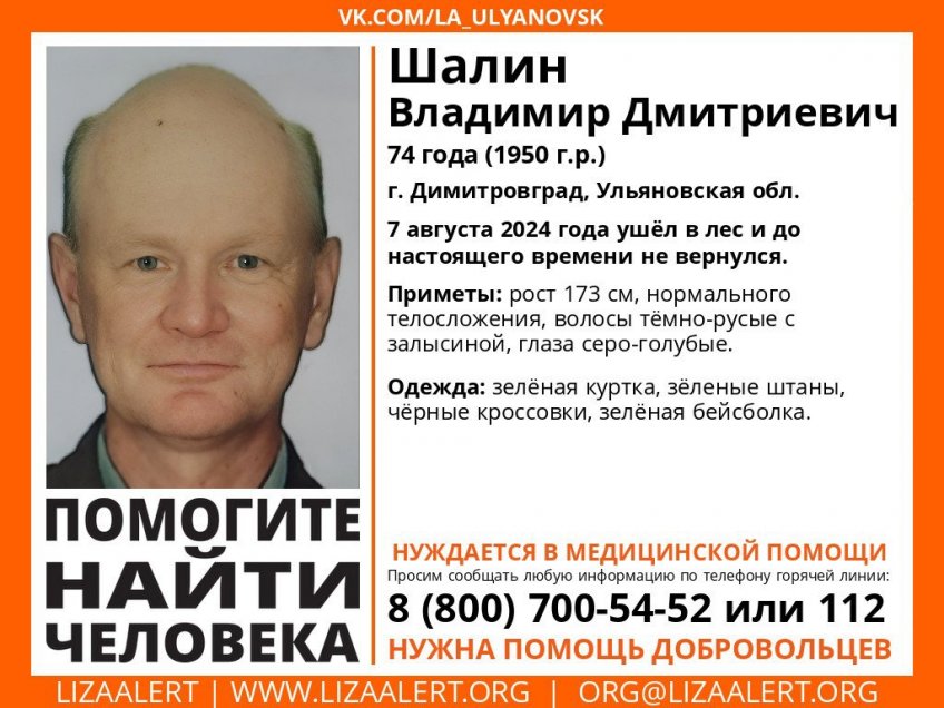 Лиза Алерт