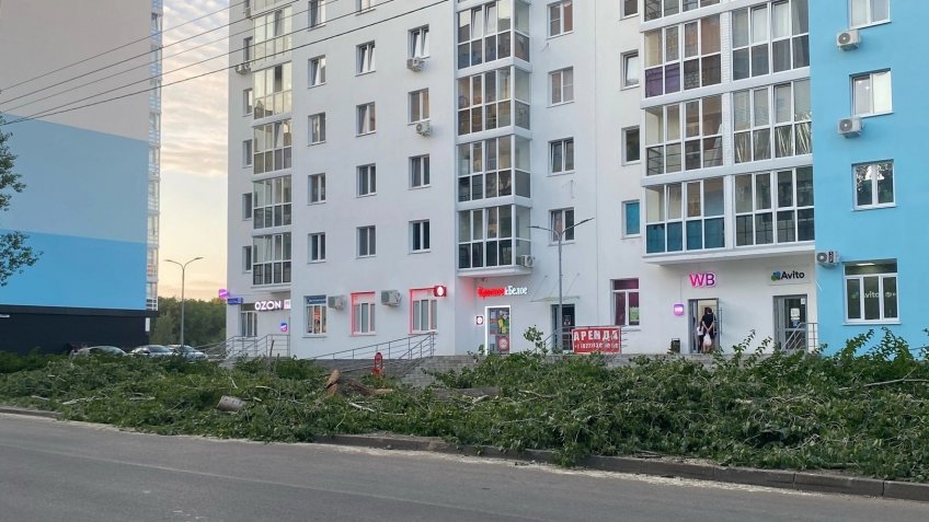 со страницы Юрия Мухина