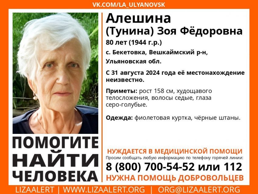 Поисково-спасательный отряд «Лиза Алерт»