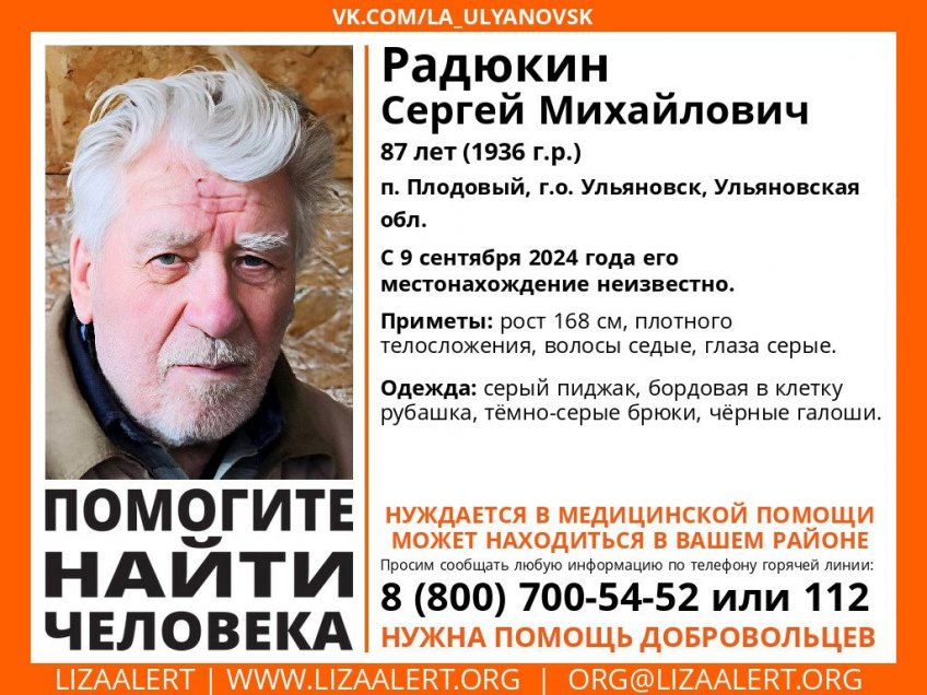 Поисково-спасательный отряд «Лиза Алерт»