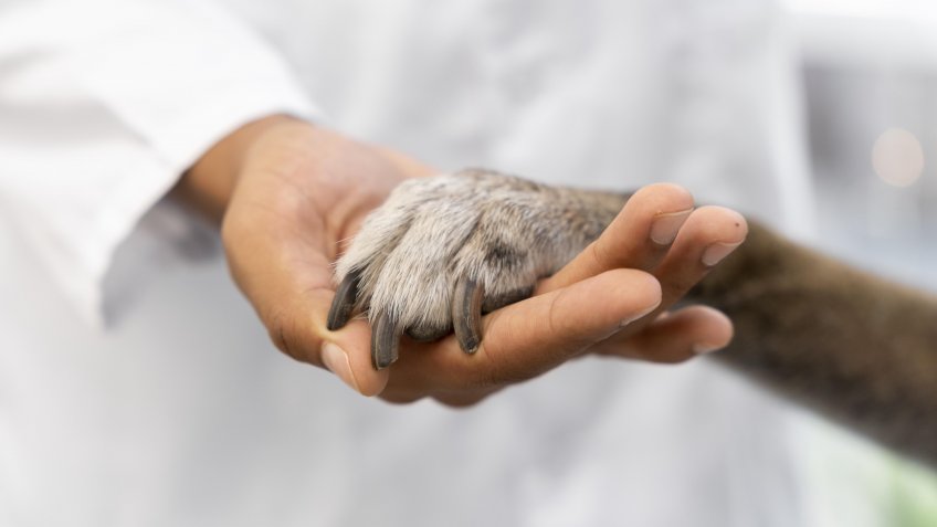 Изображение от freepik