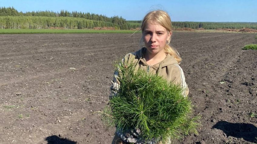 администрация Николаевского района Ульяновской области