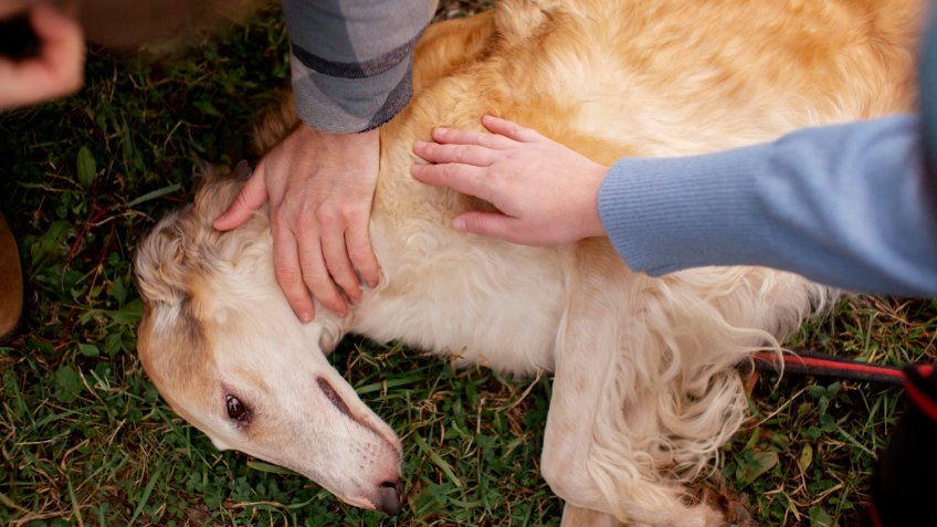 Фото: freepik.com