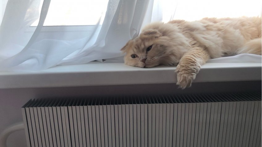 Фото: mosaica.ru