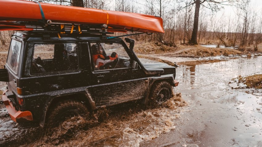 Фото: freepik.com