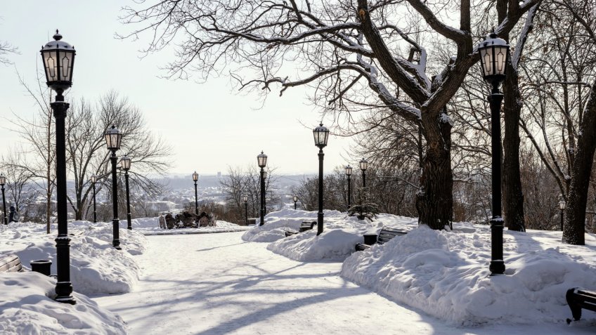 Фото: freepik.com