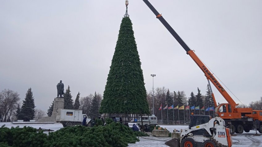 Фото: Городской центр по благоустройству и озеленению