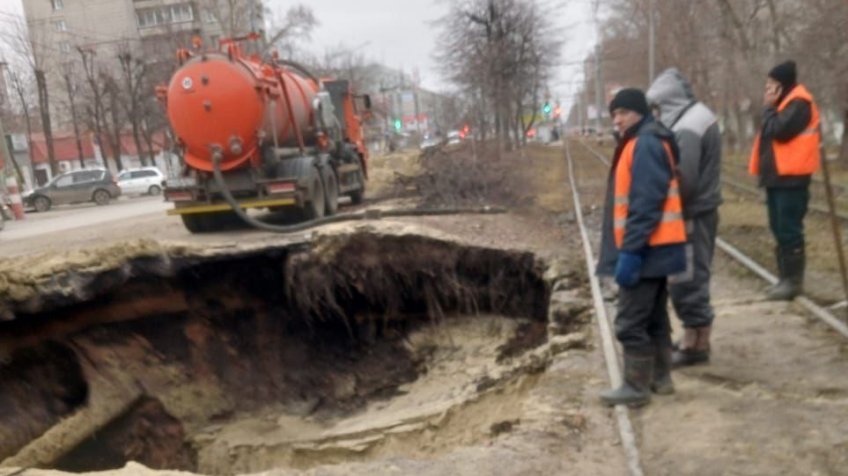 Фото: Симбирский шугожор