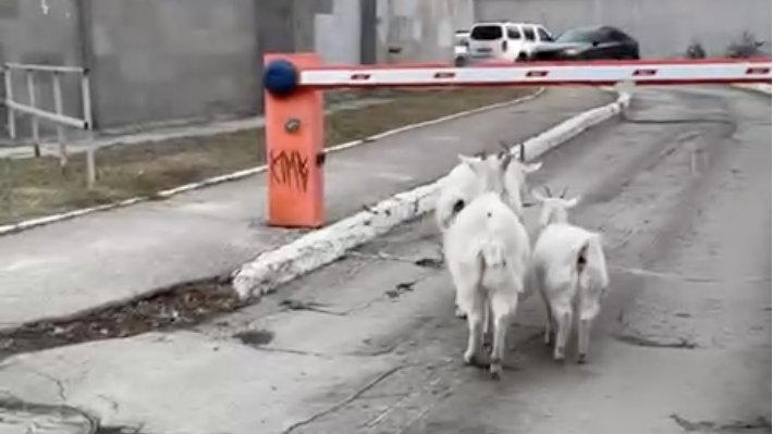 Инсайд Ульяновск