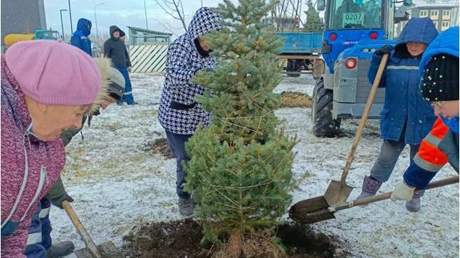 Фото: администрация Ульяновска