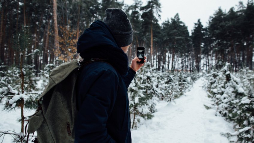 Фото: freepik.com