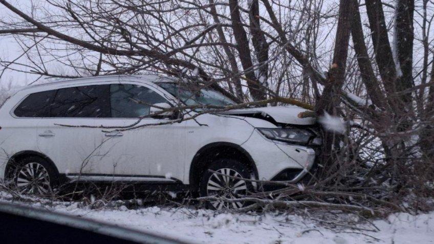 Фото: Инсайд Ульяновск