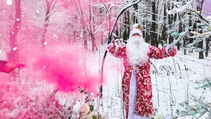 Дирекция парков Ульяновска